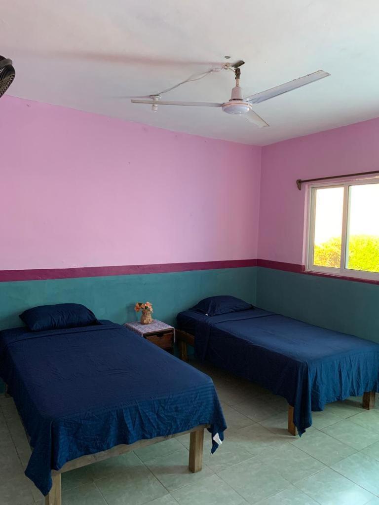 Hostal Y Temazcal Guemez 皮斯特 外观 照片